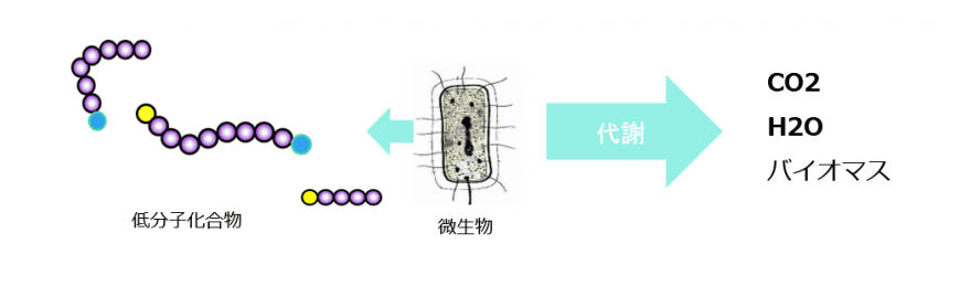 Stage 2 Biodegradation