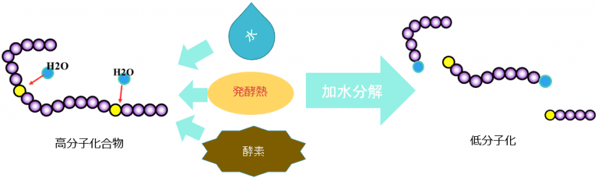 Stage 1 Hydrolysis